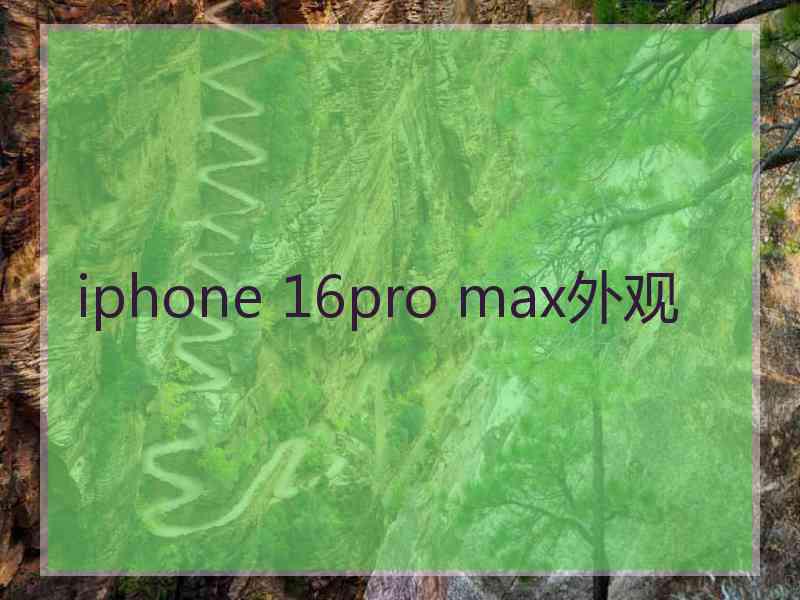 iphone 16pro max外观