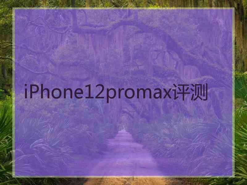 iPhone12promax评测