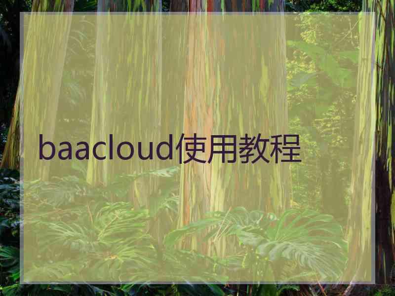 baacloud使用教程