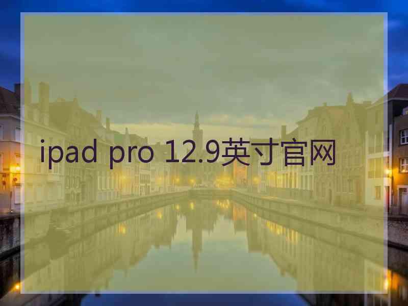 ipad pro 12.9英寸官网