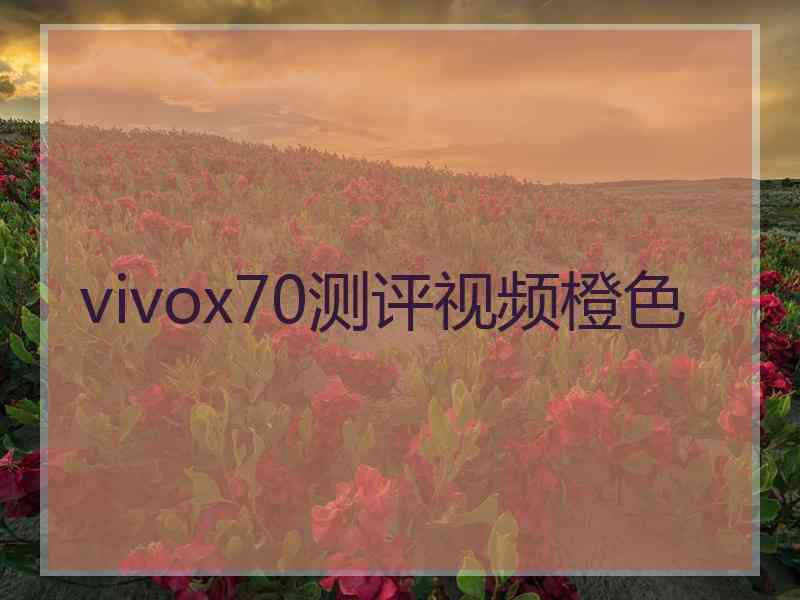 vivox70测评视频橙色