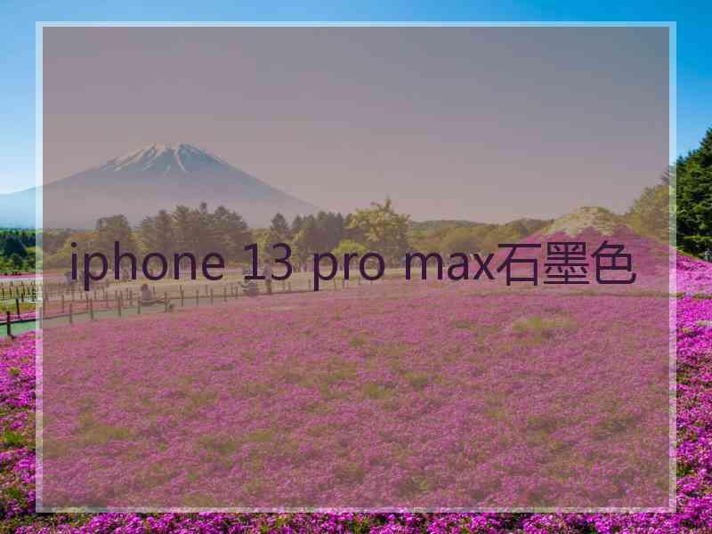 iphone 13 pro max石墨色