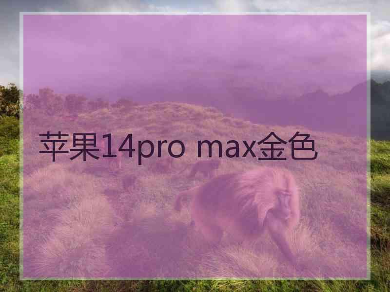 苹果14pro max金色