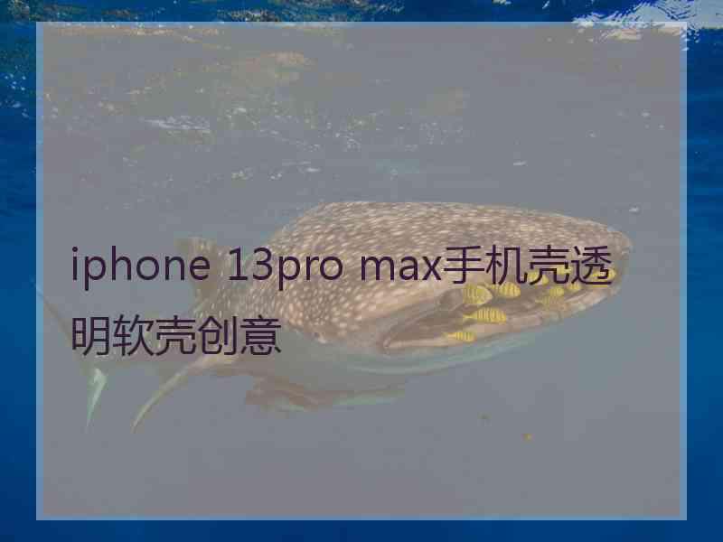 iphone 13pro max手机壳透明软壳创意