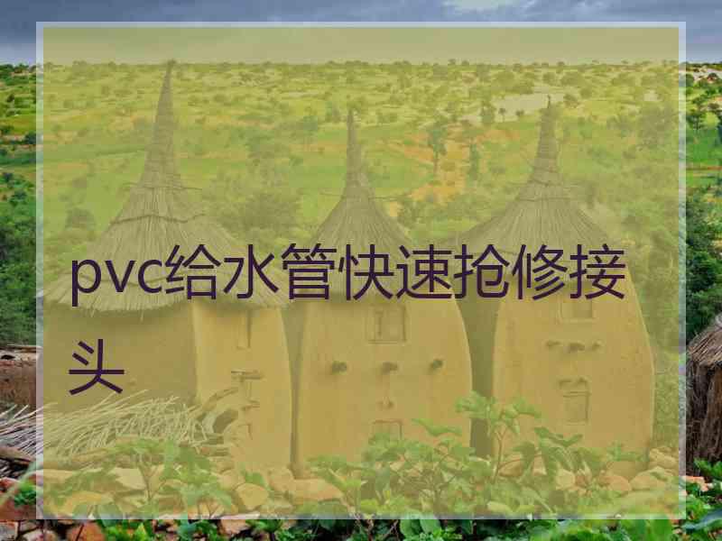 pvc给水管快速抢修接头