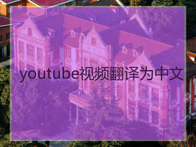 youtube视频翻译为中文