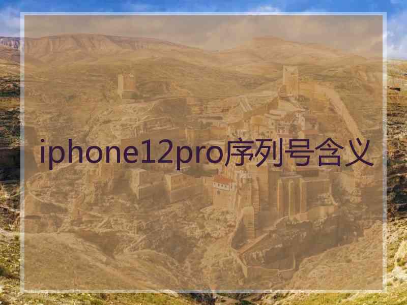 iphone12pro序列号含义