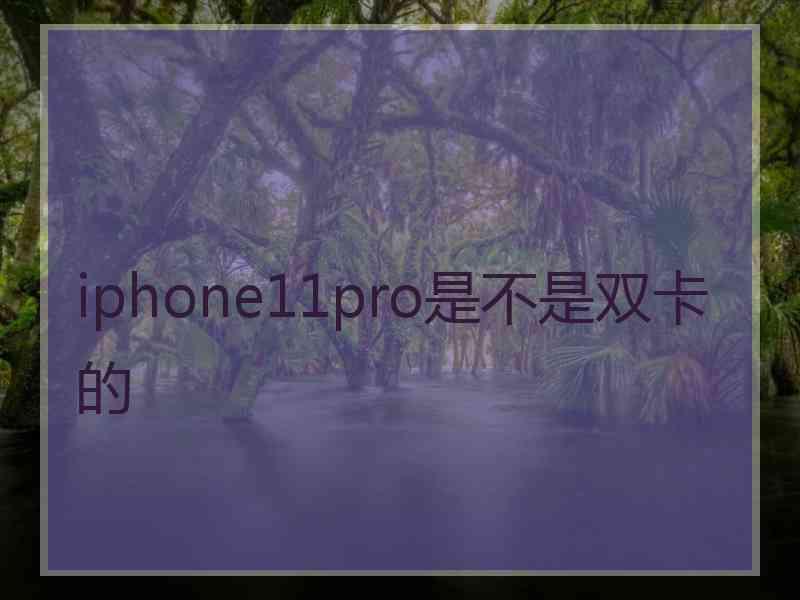 iphone11pro是不是双卡的