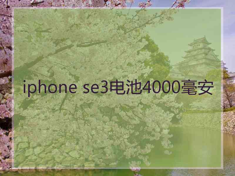 iphone se3电池4000毫安