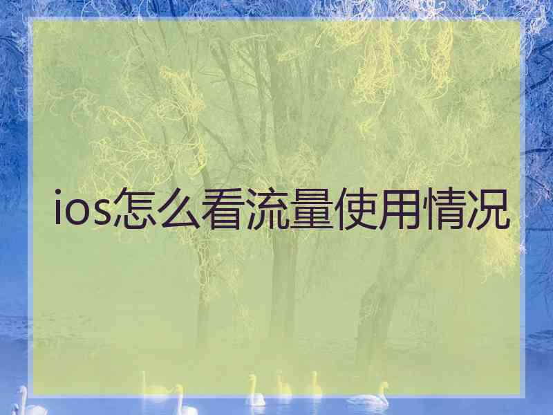 ios怎么看流量使用情况