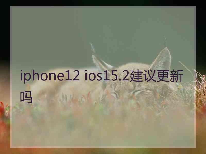 iphone12 ios15.2建议更新吗