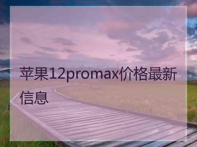 苹果12promax价格最新信息