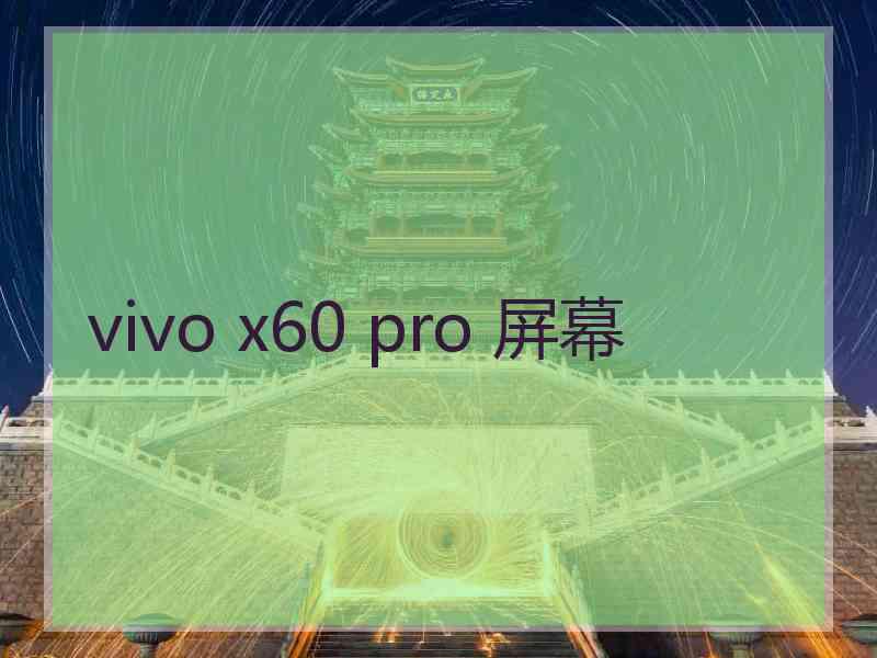 vivo x60 pro 屏幕