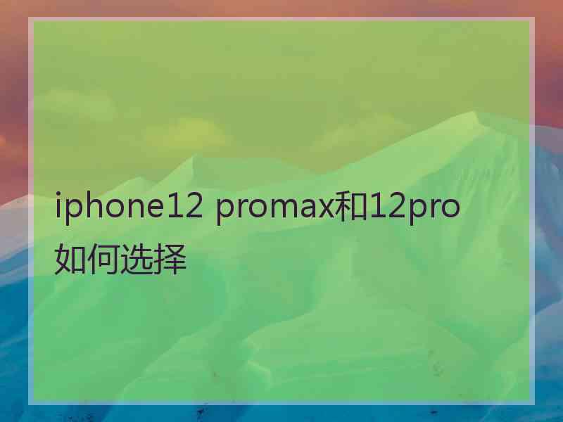 iphone12 promax和12pro如何选择