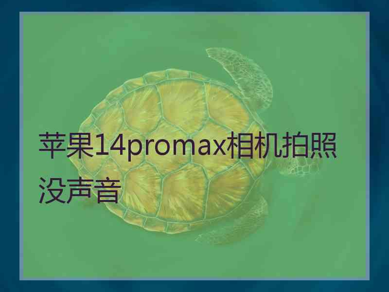 苹果14promax相机拍照没声音