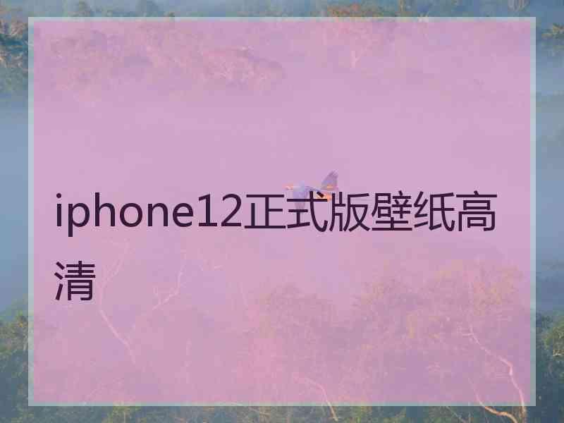 iphone12正式版壁纸高清