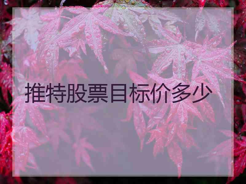 推特股票目标价多少