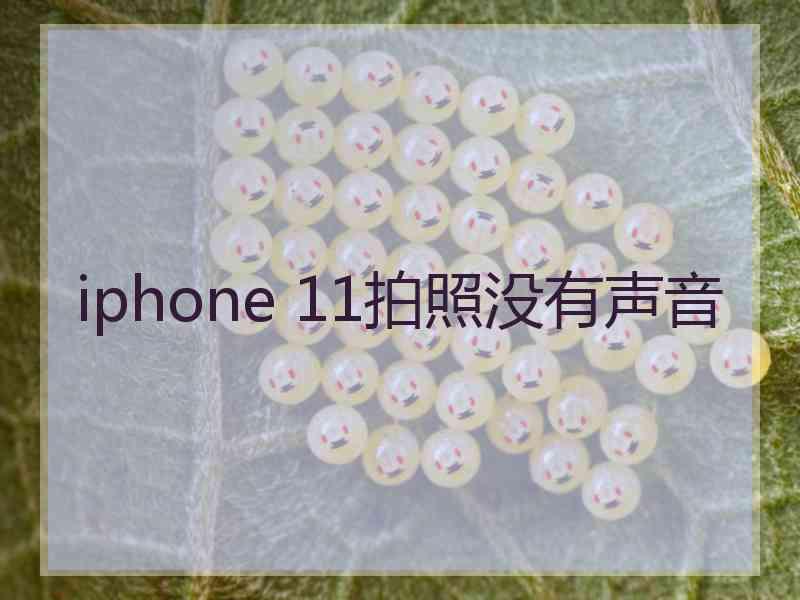 iphone 11拍照没有声音