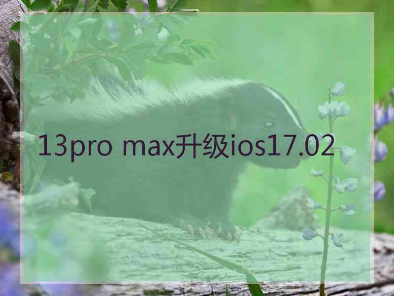 13pro max升级ios17.02