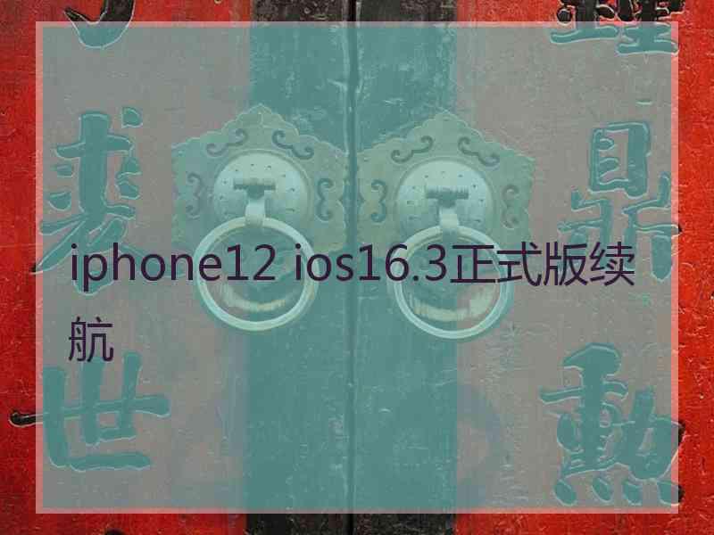 iphone12 ios16.3正式版续航