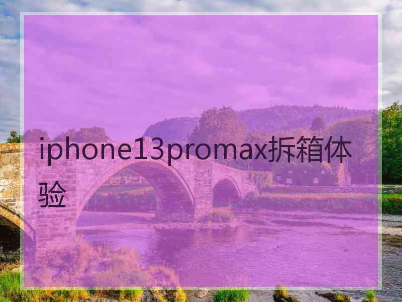 iphone13promax拆箱体验