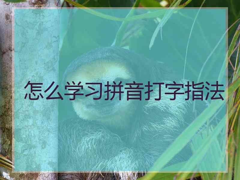 怎么学习拼音打字指法