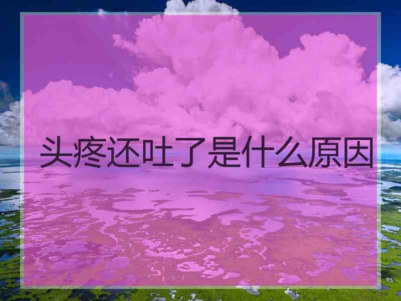 头疼还吐了是什么原因