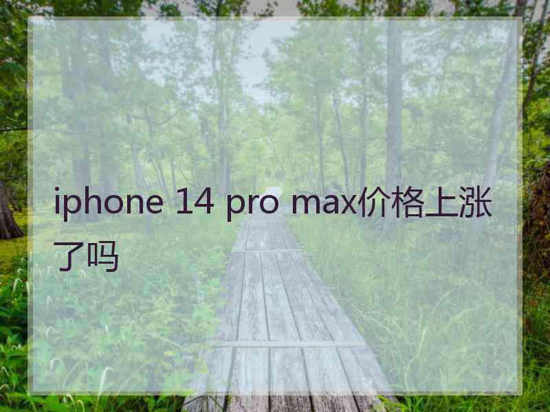 iphone 14 pro max价格上涨了吗