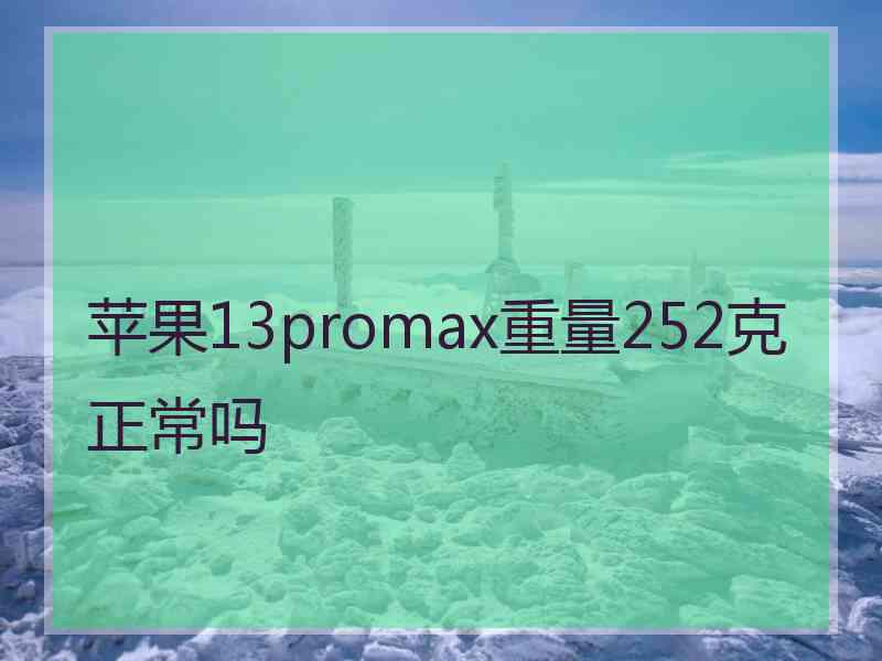 苹果13promax重量252克正常吗