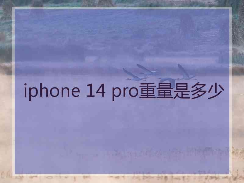 iphone 14 pro重量是多少