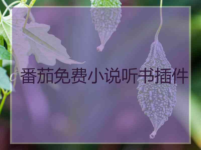 番茄免费小说听书插件