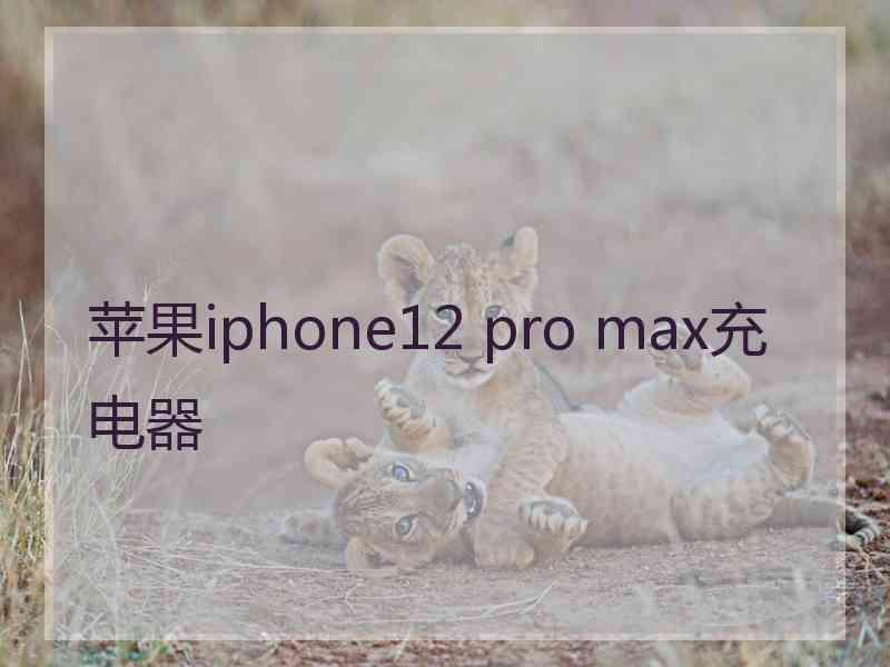 苹果iphone12 pro max充电器