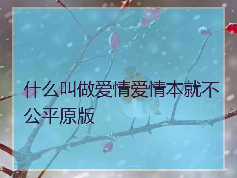 什么叫做爱情爱情本就不公平原版