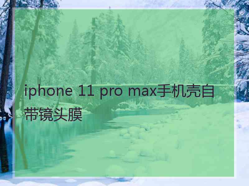 iphone 11 pro max手机壳自带镜头膜