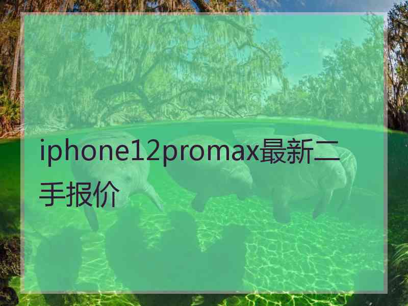 iphone12promax最新二手报价