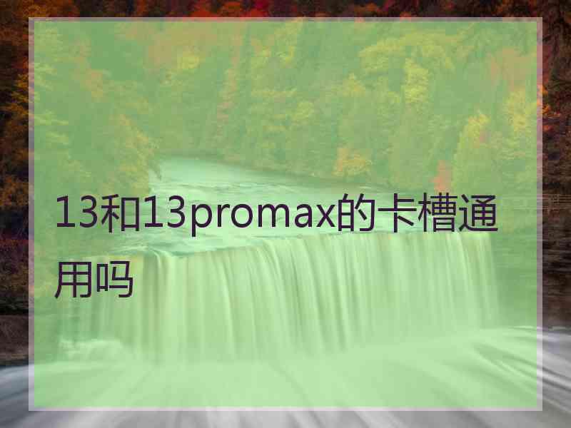 13和13promax的卡槽通用吗