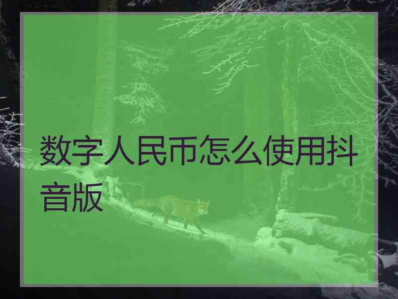 数字人民币怎么使用抖音版