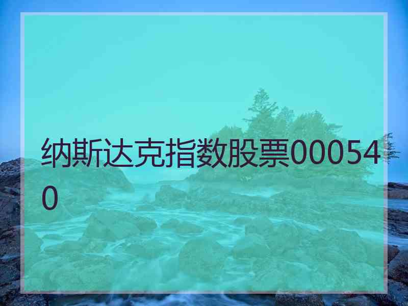 纳斯达克指数股票000540