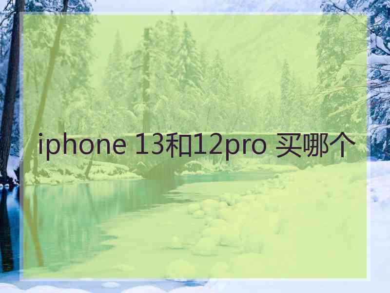 iphone 13和12pro 买哪个