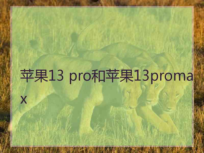 苹果13 pro和苹果13promax