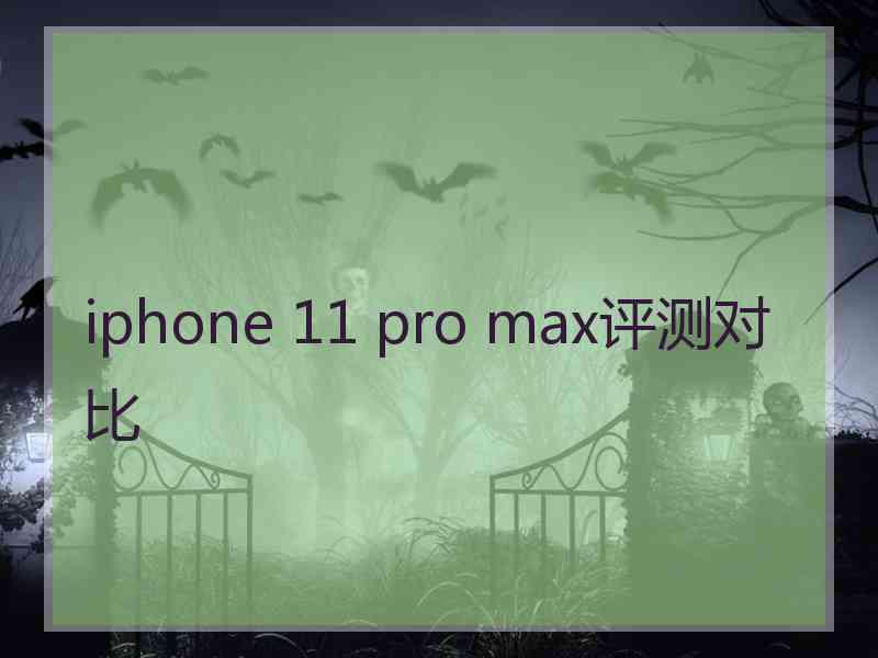 iphone 11 pro max评测对比