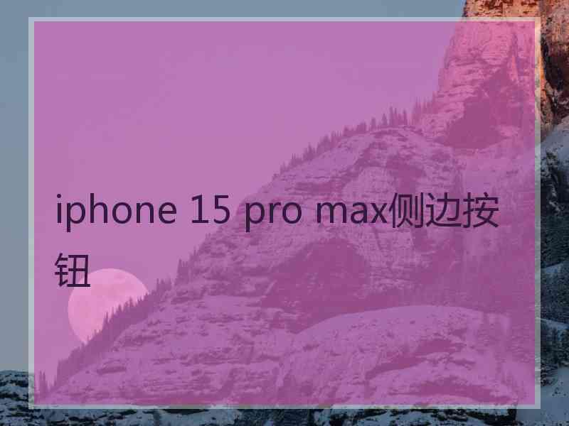 iphone 15 pro max侧边按钮