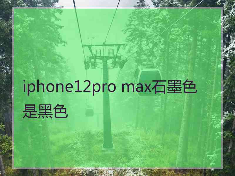 iphone12pro max石墨色是黑色