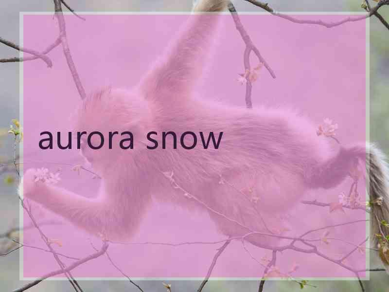 aurora snow