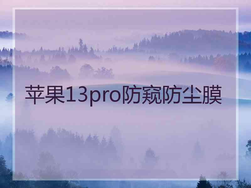 苹果13pro防窥防尘膜