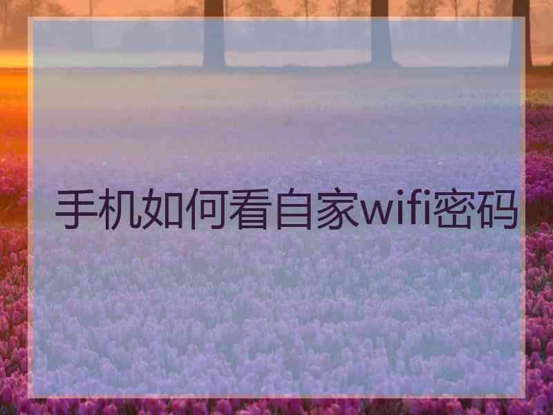 手机如何看自家wifi密码