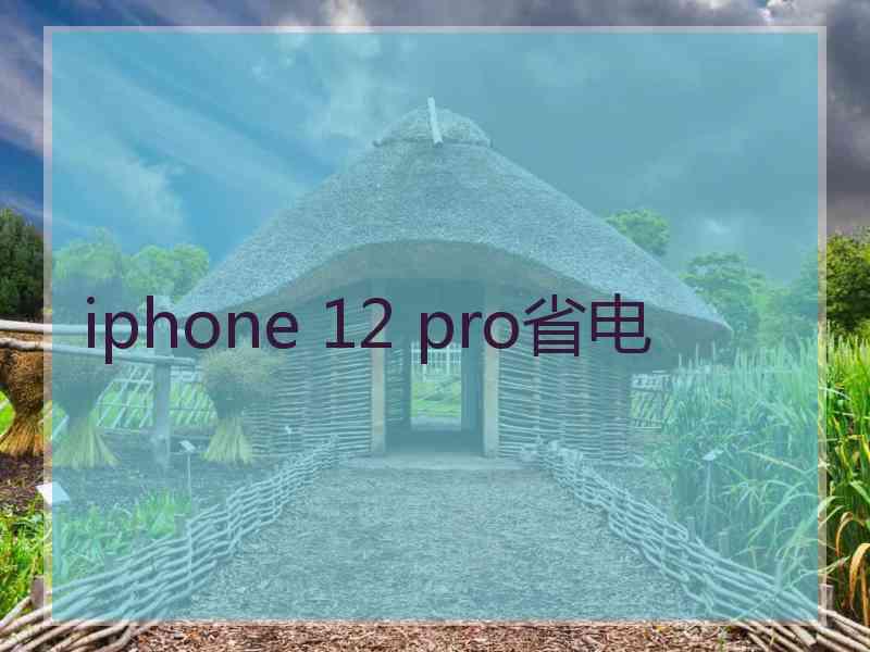 iphone 12 pro省电