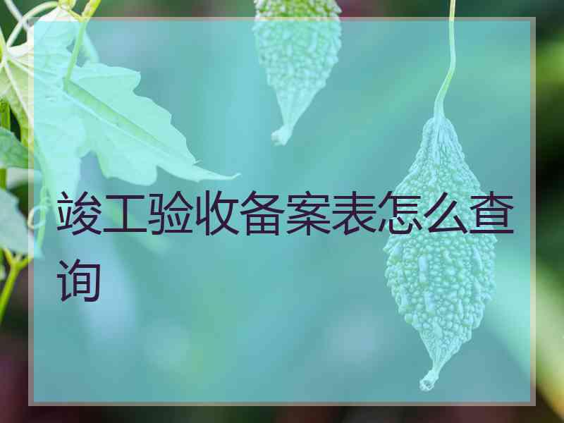 竣工验收备案表怎么查询