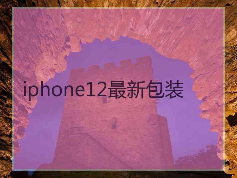 iphone12最新包装