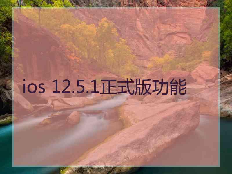 ios 12.5.1正式版功能